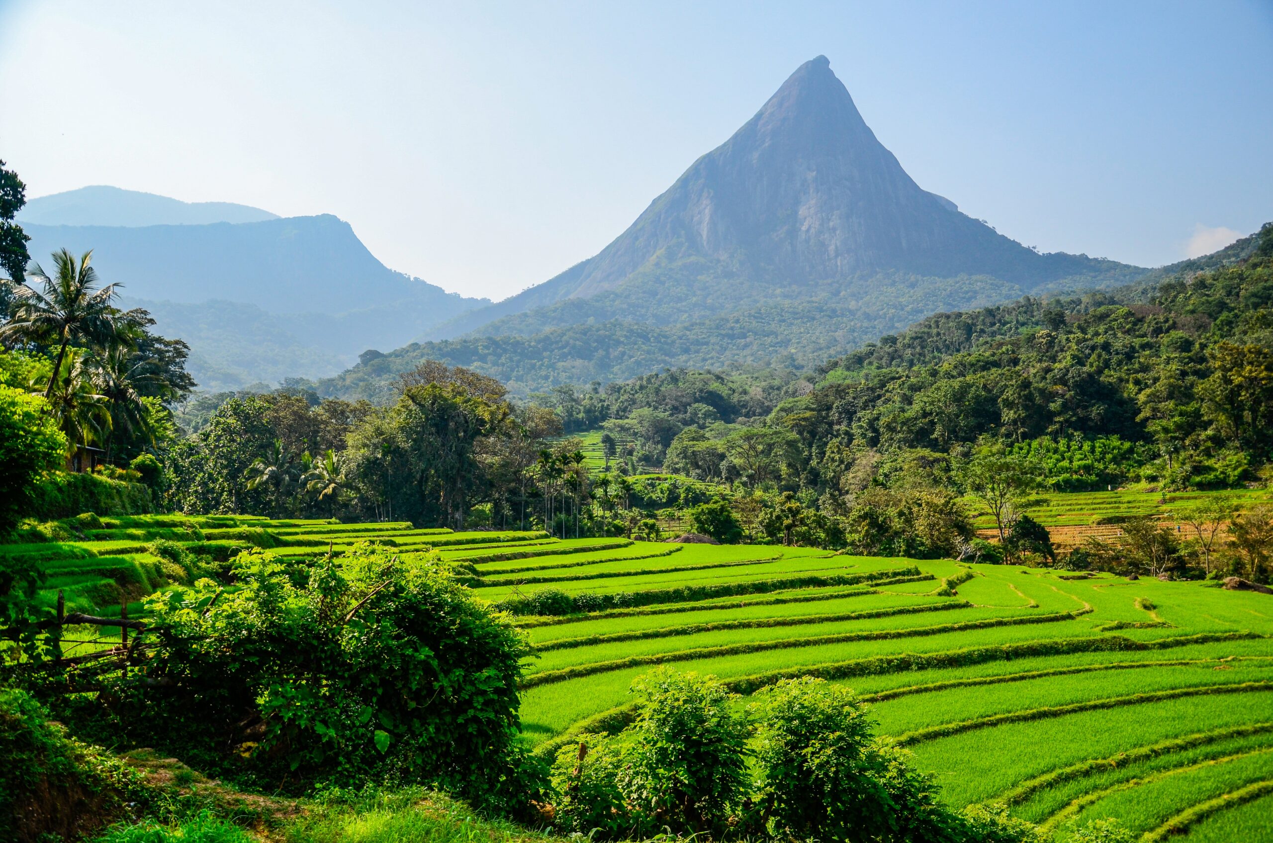 Sustainable Sri Lanka (14N/15D)